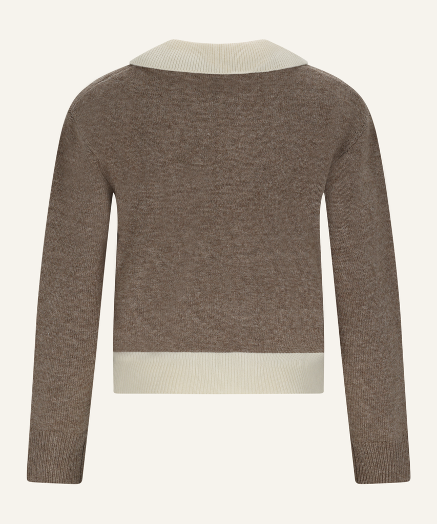 MT4201 - 910763 - 060 TORTORA_2.webp